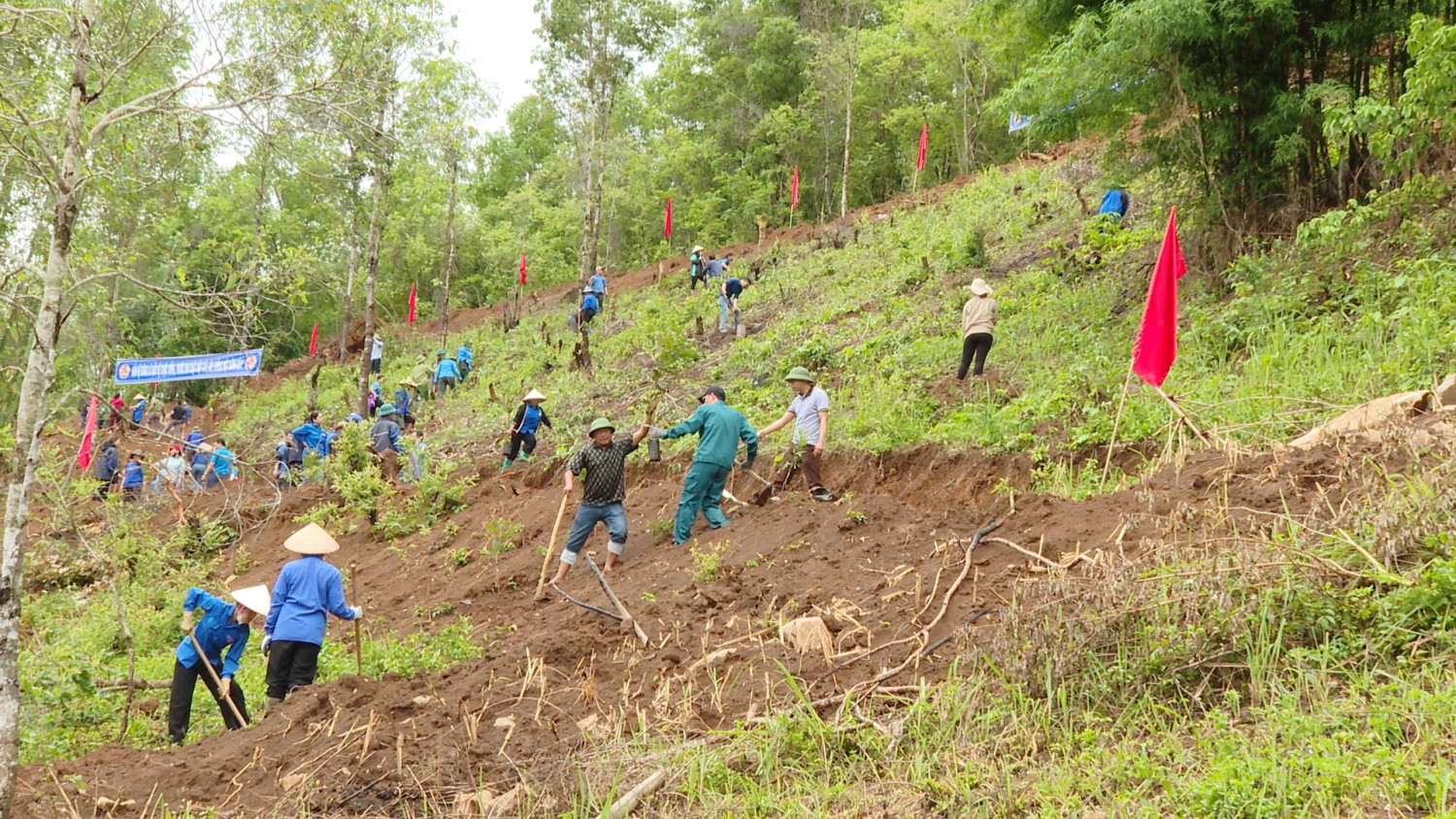 CNVCLĐ huyện trồng cây mắc ca