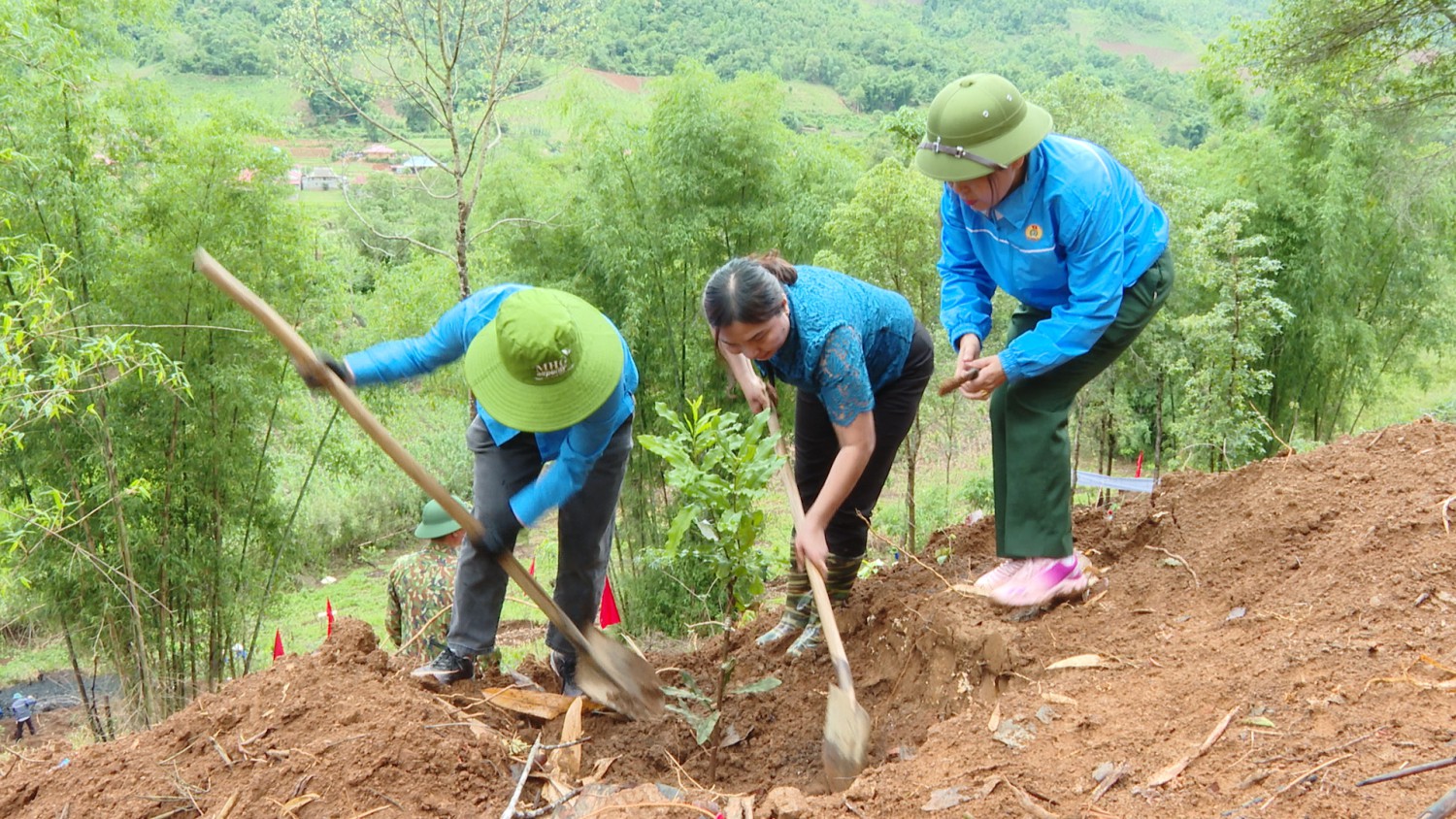 Đồng chí Lầu Thị Thanh Hương Phó Chủ tịch Thường trực LĐLĐ tỉnh Đồng chí Phạm Thị Tuyên Phó Chủ tịch UBND huyện trồng cây Mắc ca